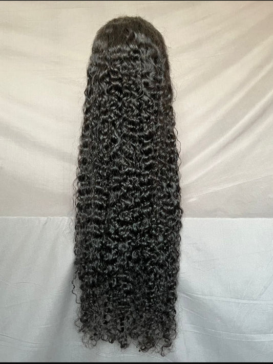Burmese Curly 13x4 Virgin Transparent Lace Frontal Wig